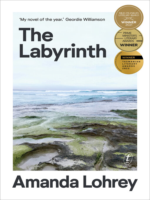 Cover image for The Labyrinth: Winner of the 2021 Miles Franklin Literary Award